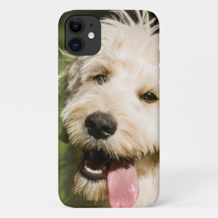 Goldendoodle Puppy Panting Case-Mate iPhone Case