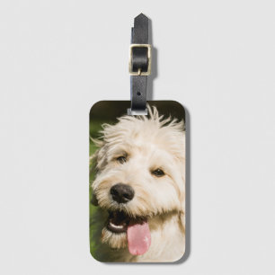 Goldendoodle Puppy Panting Luggage Tag
