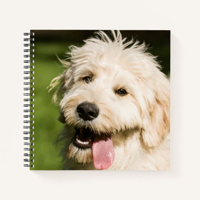Goldendoodle Puppy Panting Notebook (Front)