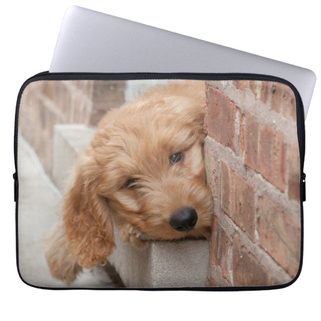 Goldendoodle Puppy Peeking Laptop Sleeve (Front)