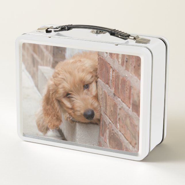 Goldendoodle Puppy Peeking Metal Lunch Box (Back)
