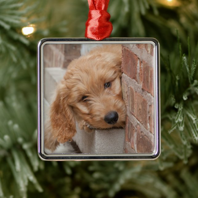 Goldendoodle Puppy Peeking Metal Tree Decoration (Tree)