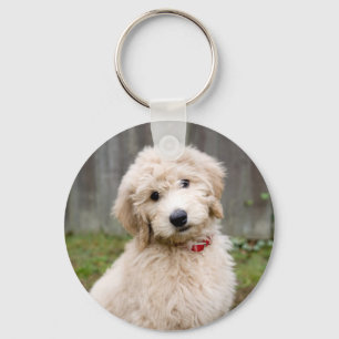 Goldendoodle Puppy Sits In Grass Key Ring