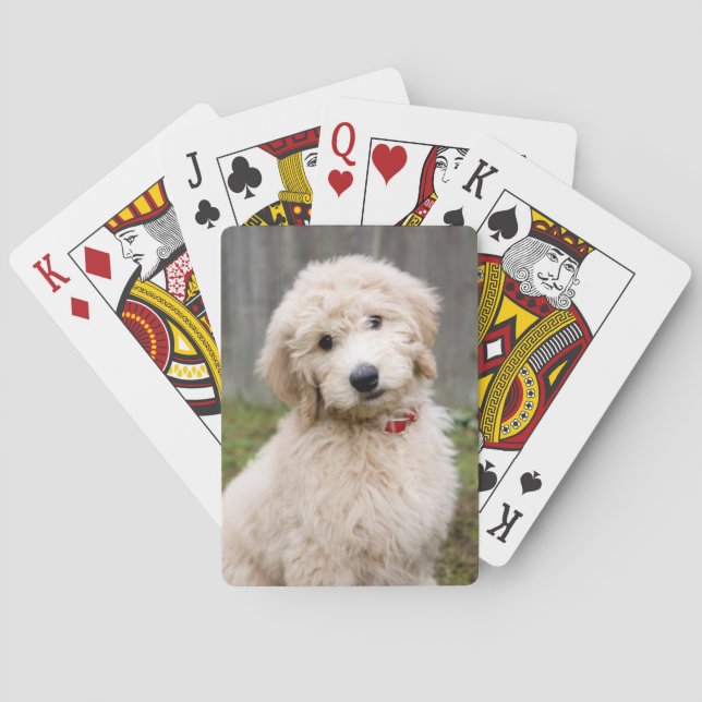 Goldendoodle Puppy Sits In Grass Playing Cards (Back)