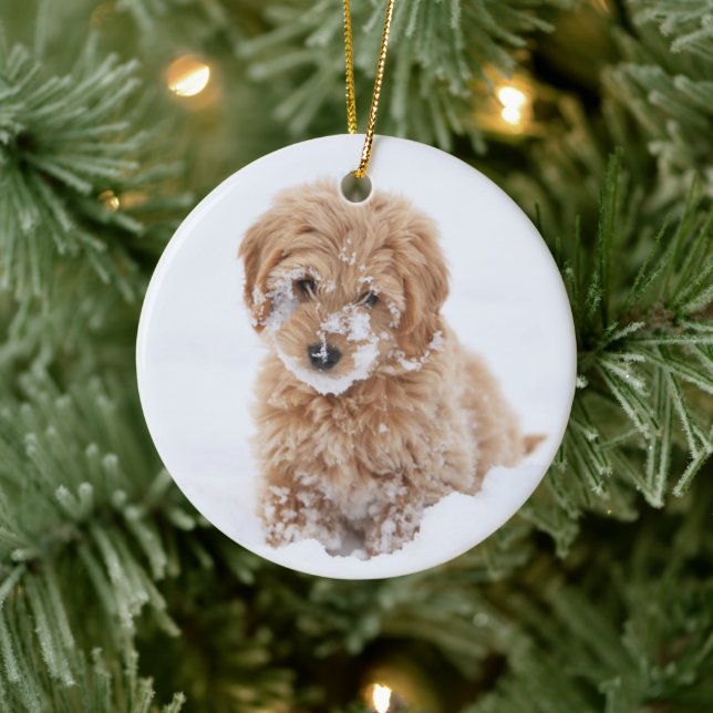 Goldendoodle Puppy With Snow On Face Ceramic Tree Decoration (Tree)