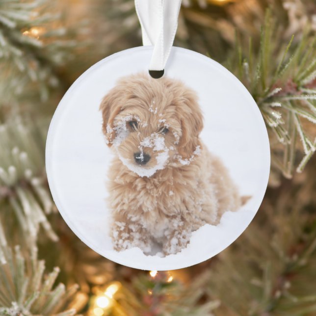 Goldendoodle Puppy With Snow On Face Ornament (Tree)
