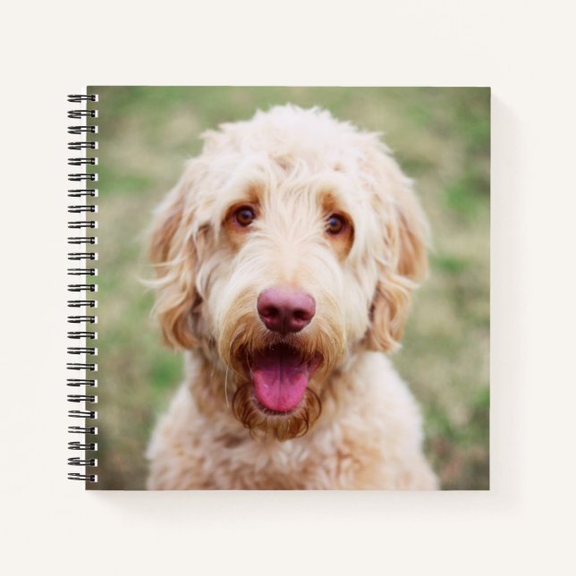 Goldendoodle Smiling Notebook (Front)