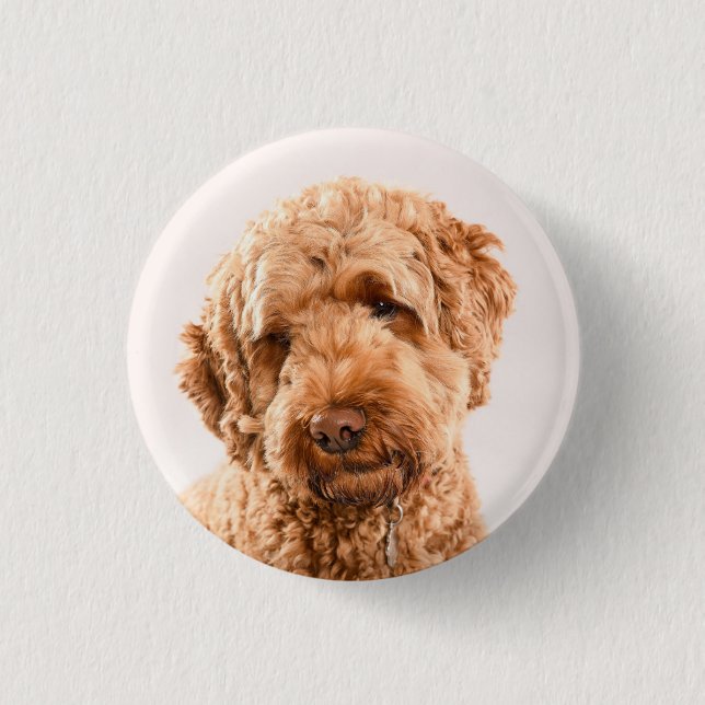 Goldendoodle Studio Portrait 3 Cm Round Badge (Front)