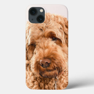 Goldendoodle Studio Portrait iPhone 13 Case