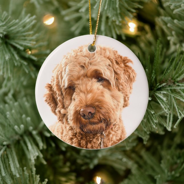 Goldendoodle Studio Portrait Ceramic Tree Decoration (Tree)
