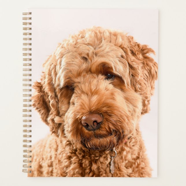 Goldendoodle Studio Portrait Planner (Front)