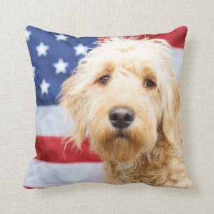 Goldendoodle With American Flag Cushion