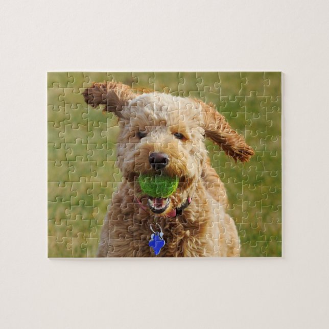 Goldendoodle with Ball Jigsaw Puzzle (Horizontal)
