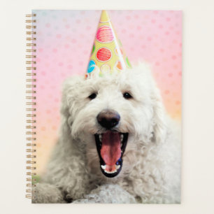 Goldendoodle With Party Hat Planner