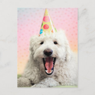 Goldendoodle With Party Hat Postcard
