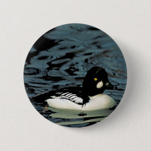 Goldeneye Duck 6 Cm Round Badge