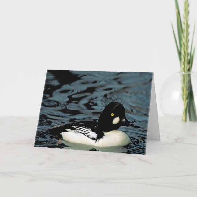 Goldeneye Duck Card (Front)