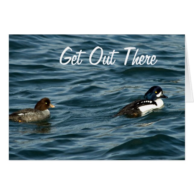 Goldeneye Ducks Out There (Front Horizontal)