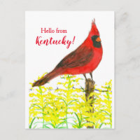 Goldenrod Cardinal Hello From Kentucky