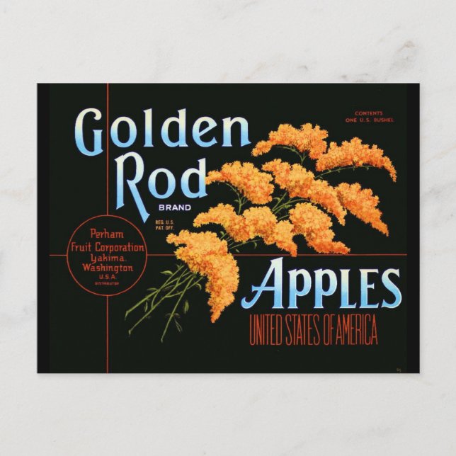 Goldenrod Postcard (Front)
