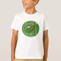 Goldenrod Soldier Beetle