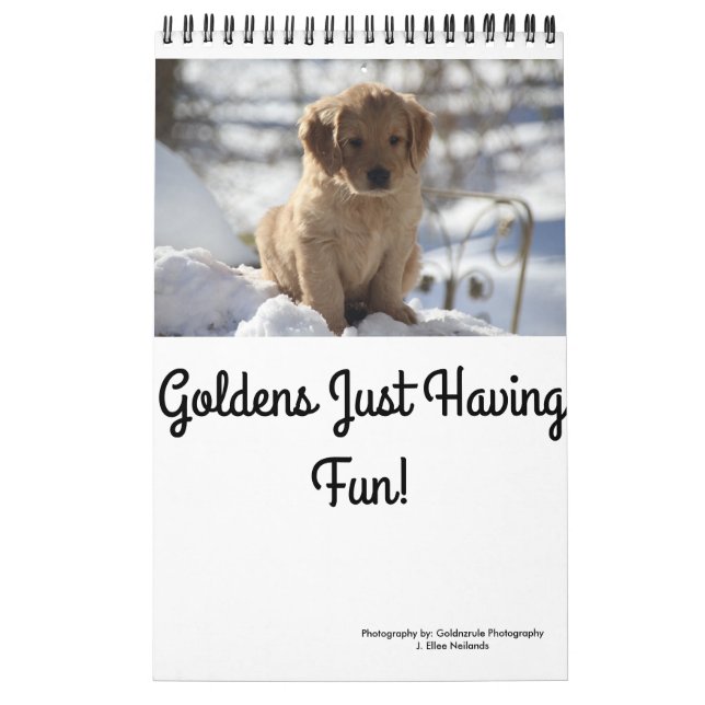 Goldens Just Having Fun Calendar (Cover)
