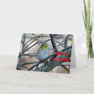 Goldfinch 3900 Christmas Card