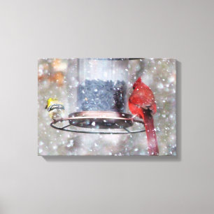 Goldfinch and Cardinal at Feeder Canvas Print