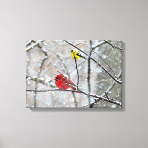 Goldfinch and Cardinal Canvas Print