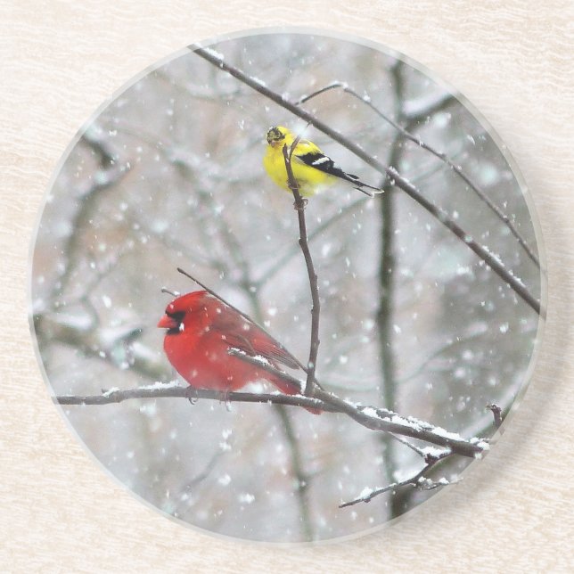 Goldfinch And Cardinal Coaster (Front)