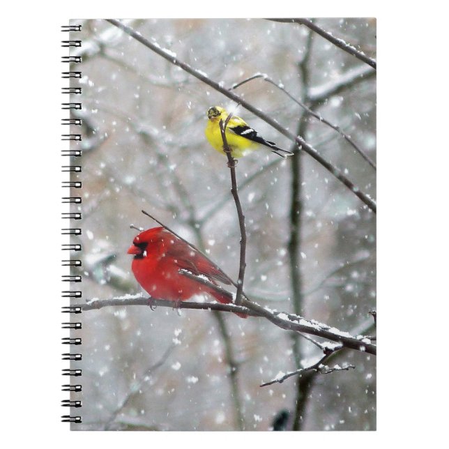 Goldfinch And Cardinal Notebook (Front)