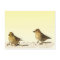 Goldfinch and Pine Siskin