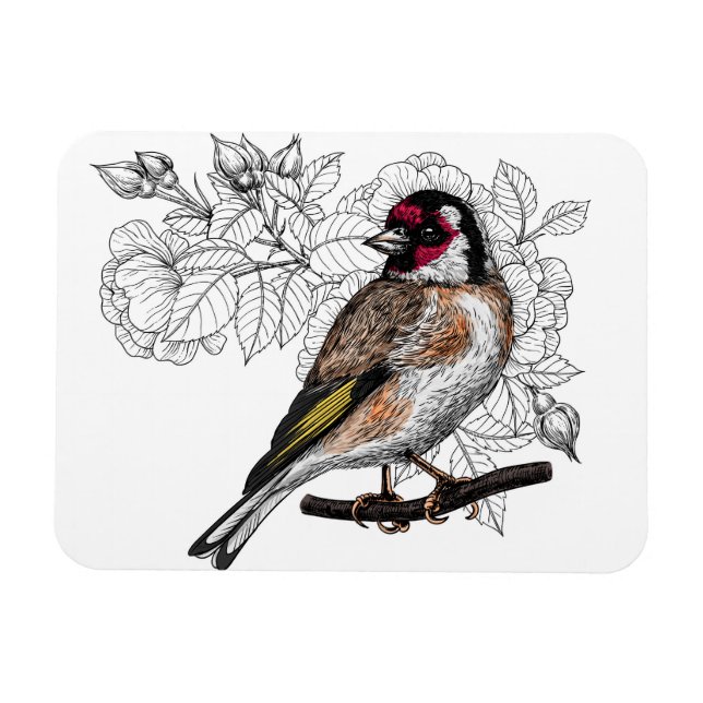 Goldfinch and roses magnet (Horizontal)