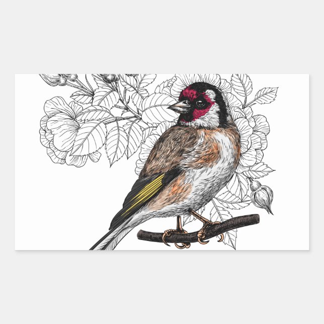 Goldfinch and roses rectangular sticker (Front)