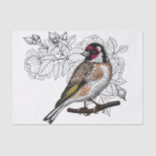 Goldfinch and roses tissue paper