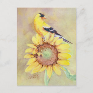 GOLDFINCH AND SUNFLOWER by SHARON SHARPE Postcard