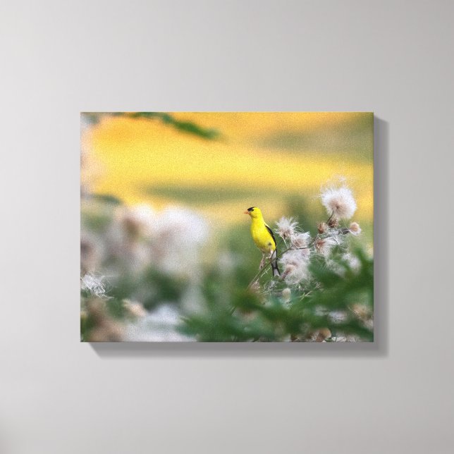 Goldfinch And Thistle Autumn Canvas Print (Front)