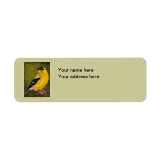 Goldfinch Bird Art Address Label