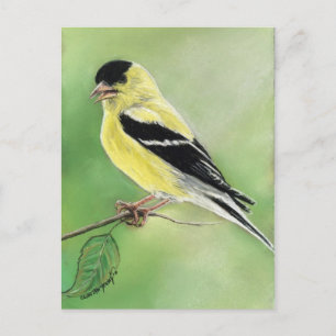 "Goldfinch" Bird Art Postcard