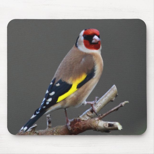 Goldfinch bird mouse pad (Front)