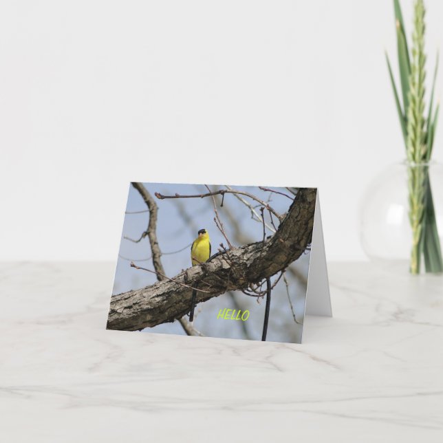 Goldfinch, Bright and Joyful Card (Front)