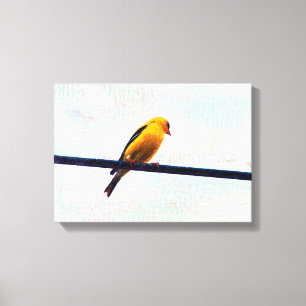 Goldfinch Canvas Print