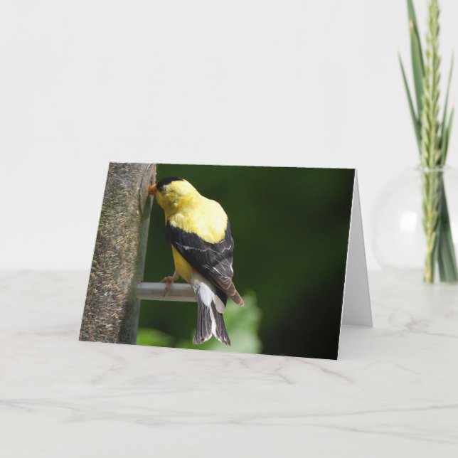 Goldfinch Card (Front)
