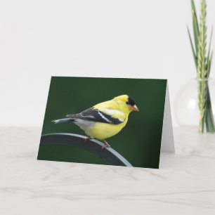 Goldfinch Card