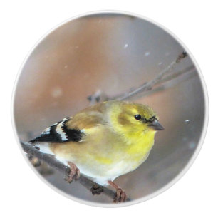 Goldfinch Ceramic Knob