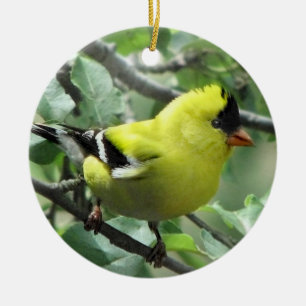 Goldfinch Ceramic Tree Decoration