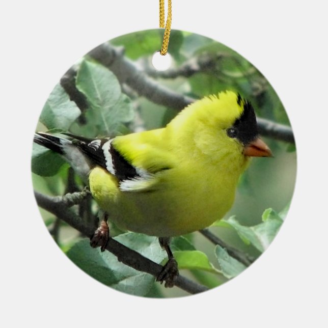 Goldfinch Ceramic Tree Decoration (Front)