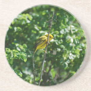 Goldfinch Coaster