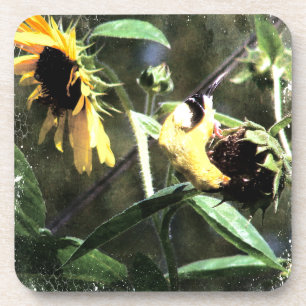 Goldfinch Coaster