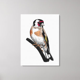 Goldfinch drawing canvas print
